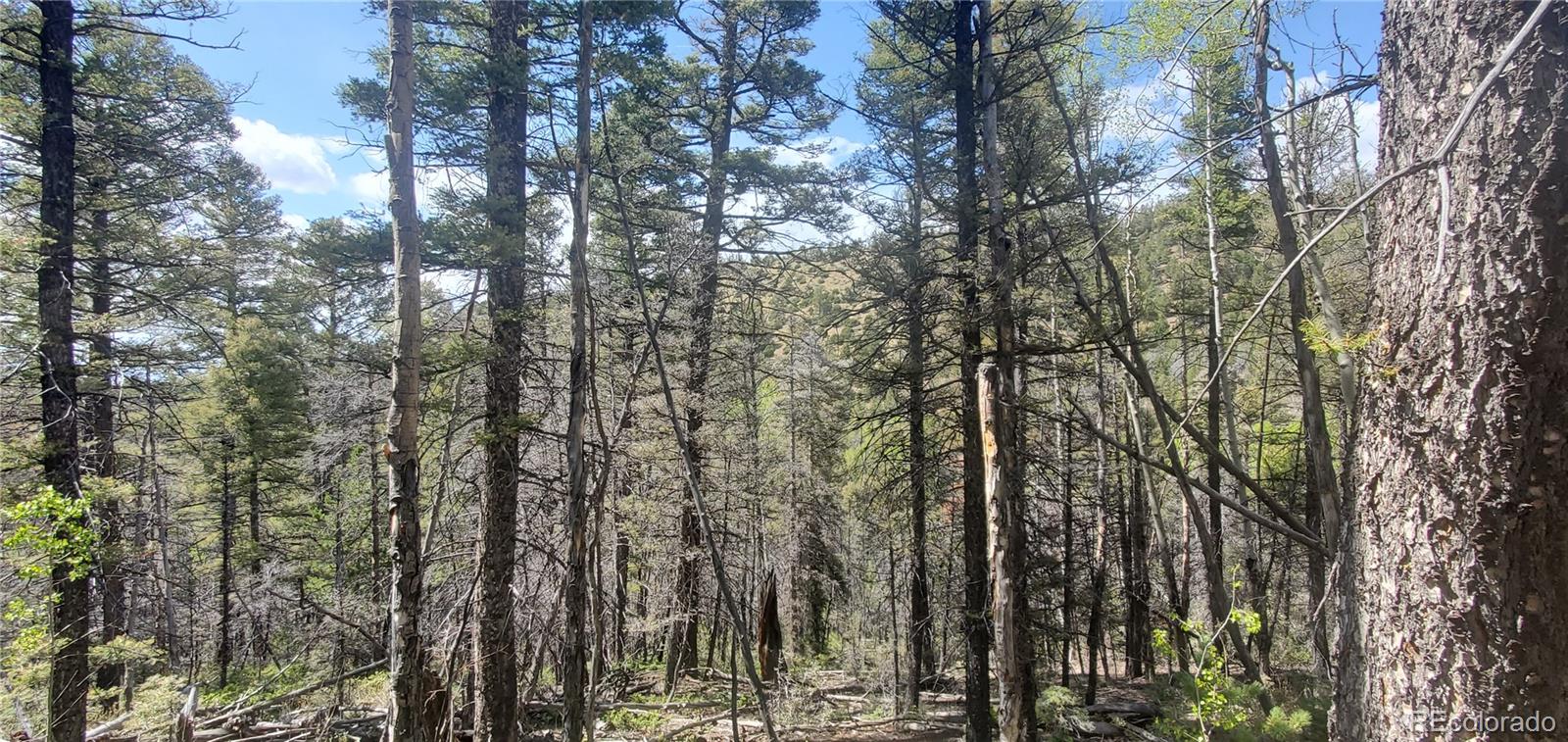 Lot 5610 Dawson Road