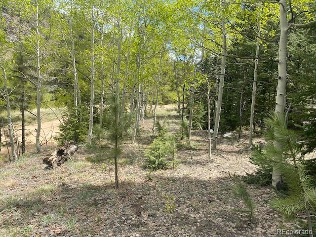 88 N Fork Road