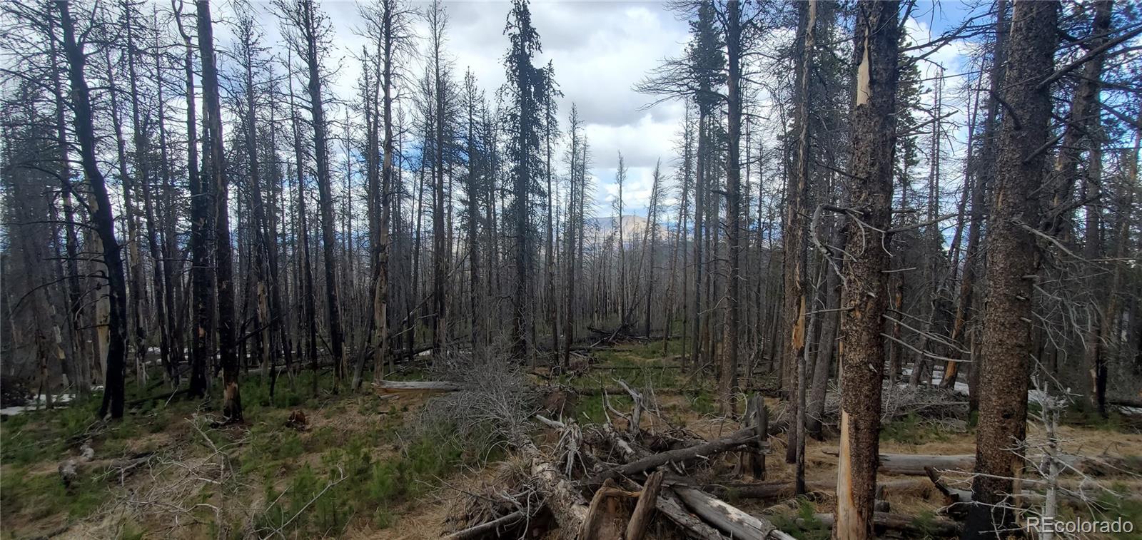 Lot 2738 Newman Place