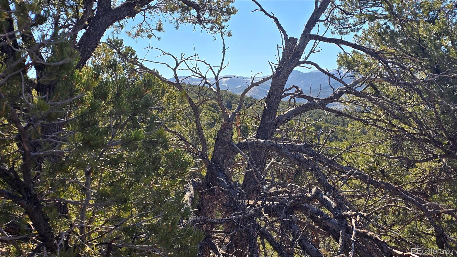 Lot 4510 Iannelli Road