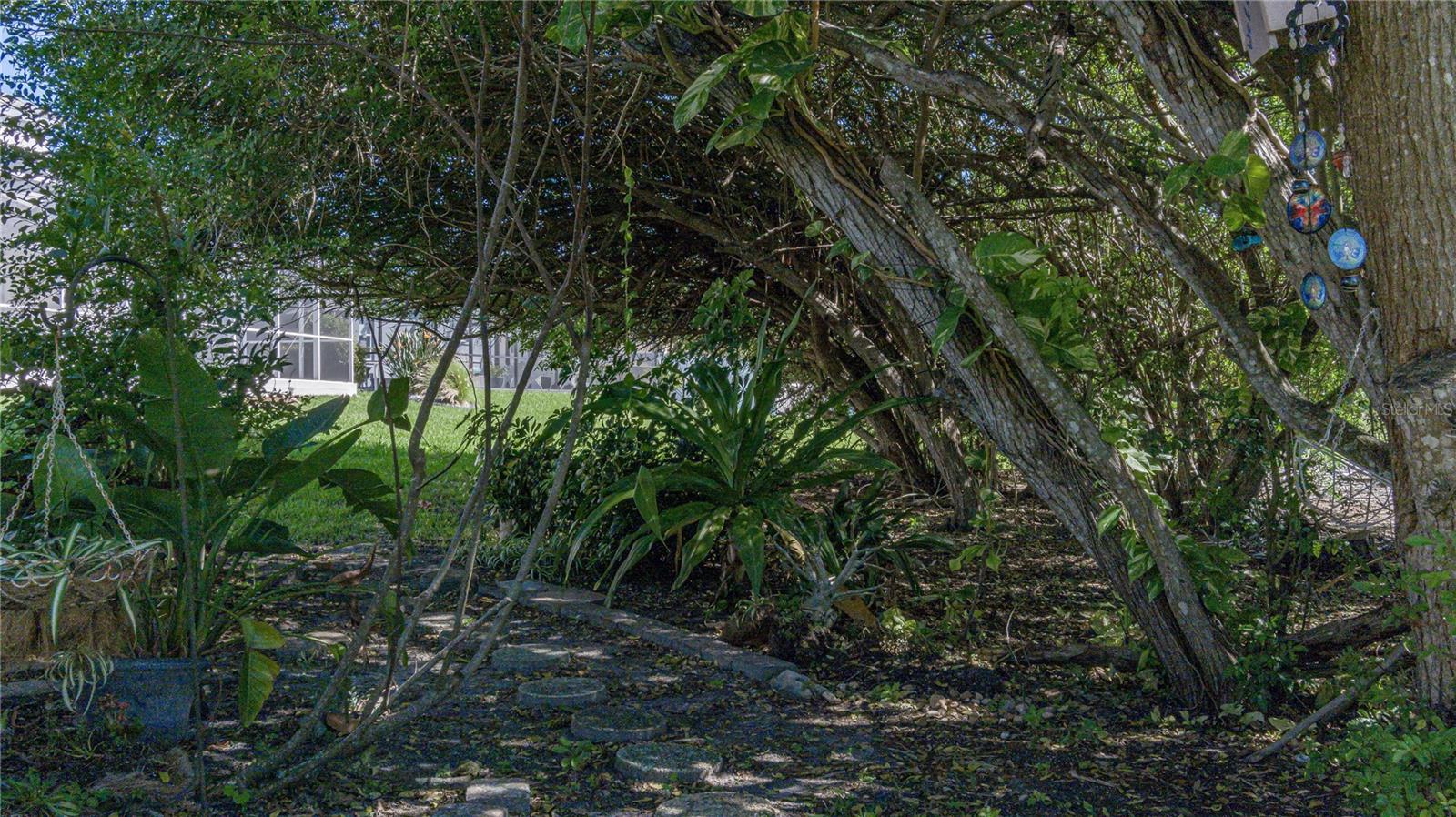 6101 Laurel Creek Trail