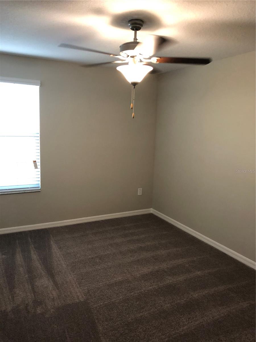 10103 Crested Fringe Drive