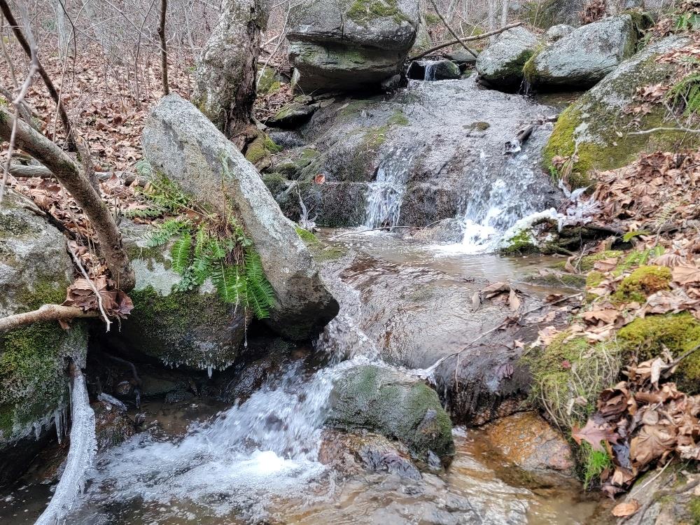 Land for sale in Fries, Virginia, 85099