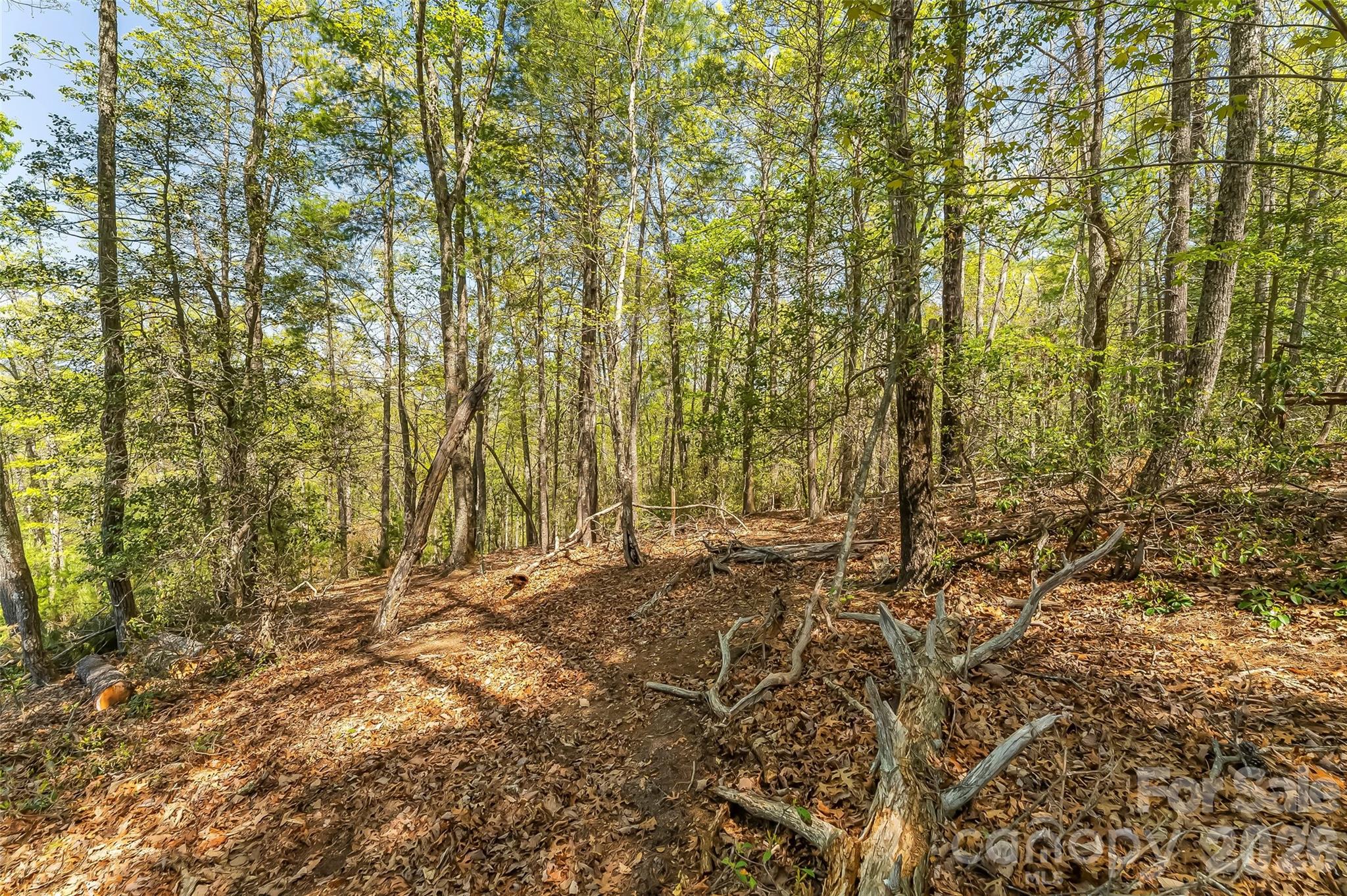 1006 High Trail Drive 32-11