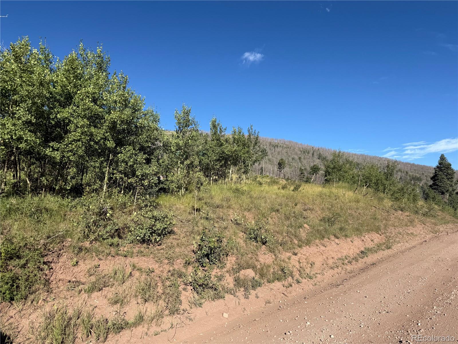 Lot 775 Forbes Park Road