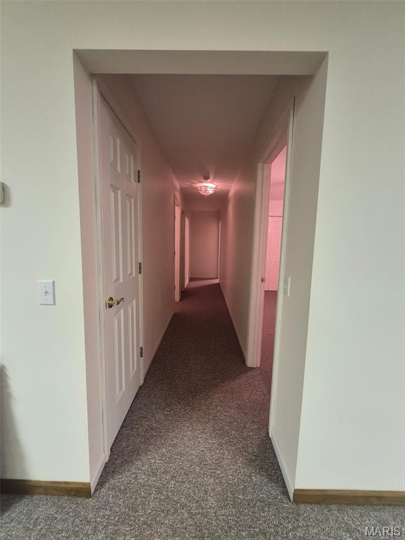 58079 Dow Trail