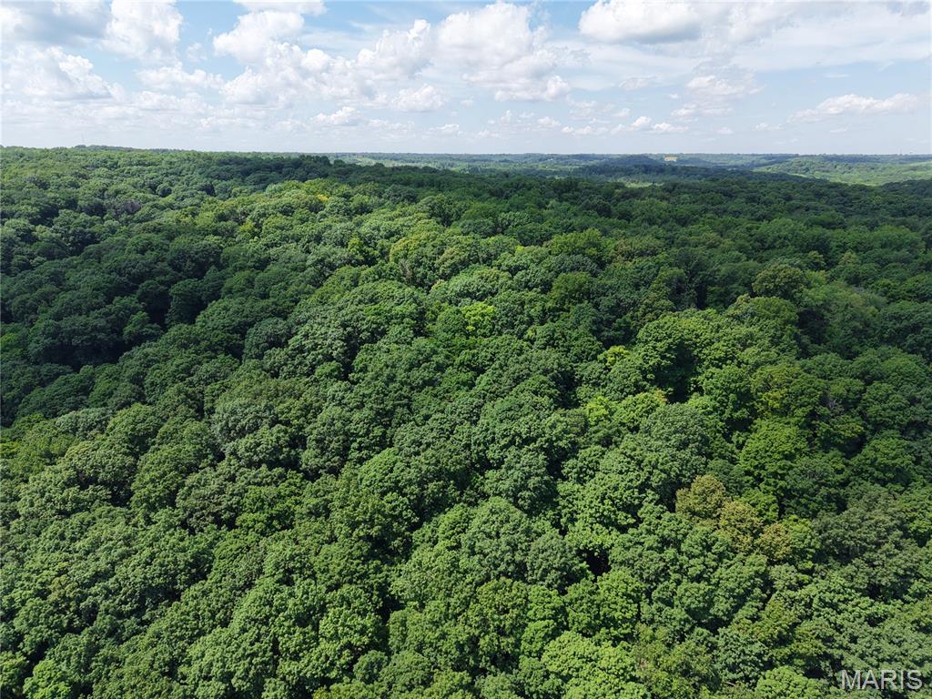 24 Monkey Run
