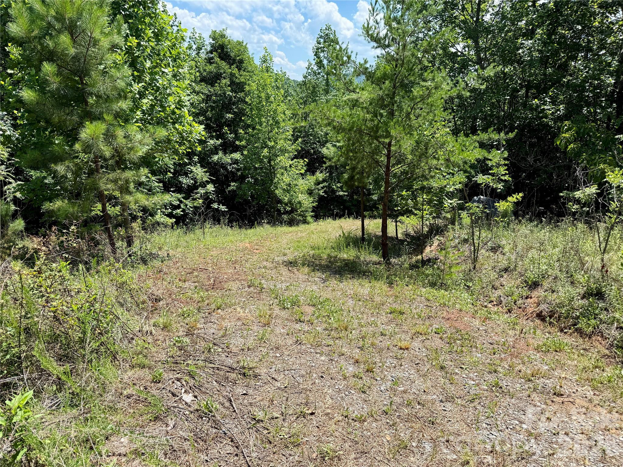 V/L Summit Trail 82