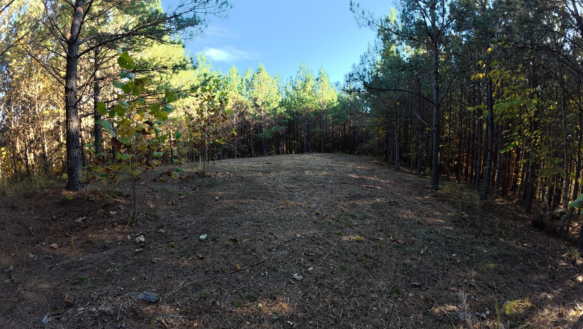 191 Vista Dr