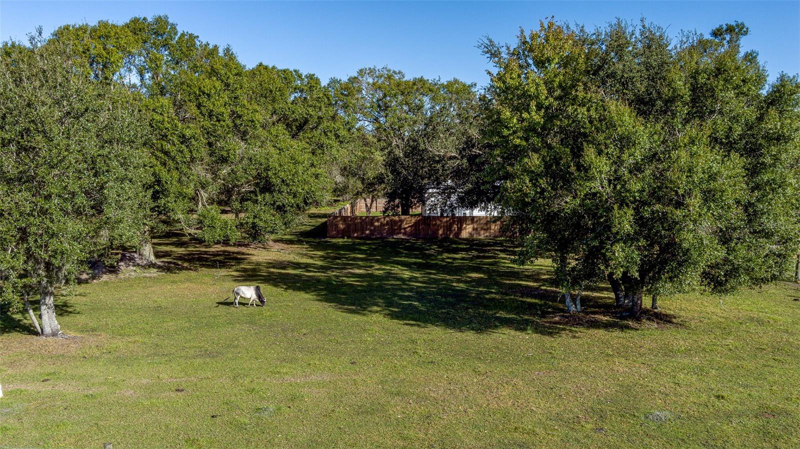 7308 Cloud Nine Ranch