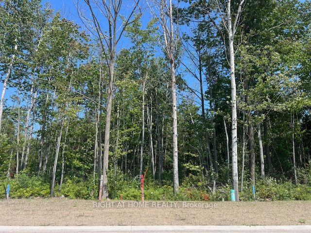 Lot 77 Mapleside Dr