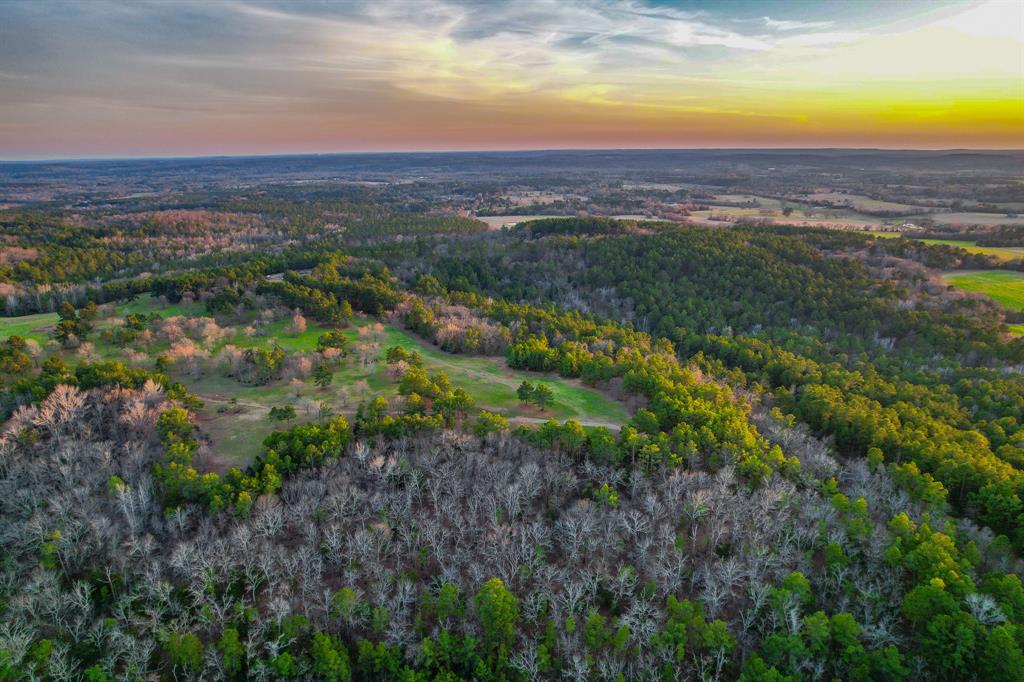 Don’t miss this rare opportunity to own a one-of-a-kind property featuring acreage atop a prominent ridge in East Texas. With elevation changes of over 150 feet, this incredible tract offers panoramic views for miles, making it the perfect location for your dream home, weekend getaway, or private retreat.
A crushed asphalt road winds up from the county road, leading you to the top of the ridge, where you'll find a beautiful mix of open pastureland and mature trees. The property is graced with multiple natural springs flowing from the hillside, offering excellent potential for a large pond or private lake. The slopes are blanketed with majestic hardwoods and scattered pines, creating a serene and picturesque setting.

For outdoor enthusiasts, this land is teeming with white-tailed deer, small game, and diverse wildlife, making it an excellent hunting or recreational property. Utilities are within easy reach; electricity is available from a neighboring property, and fiber internet is already in place across the ridge.

Properties with this kind of elevation, natural beauty, and sweeping views are rare in East Texas. Don't let this opportunity pass you by. Schedule your private showing today!