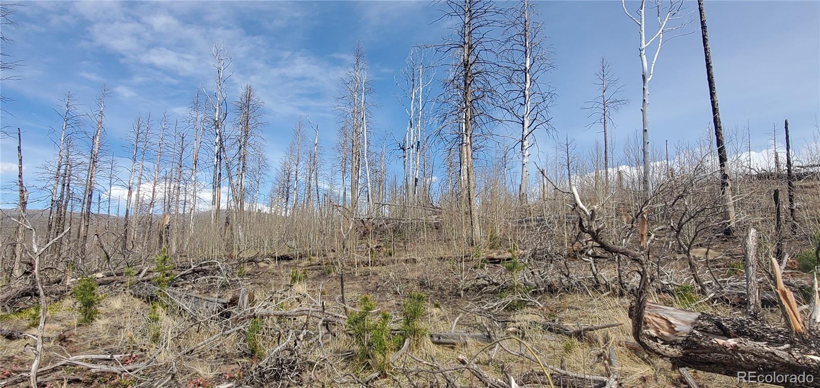 Lot 1224 Emery Loop