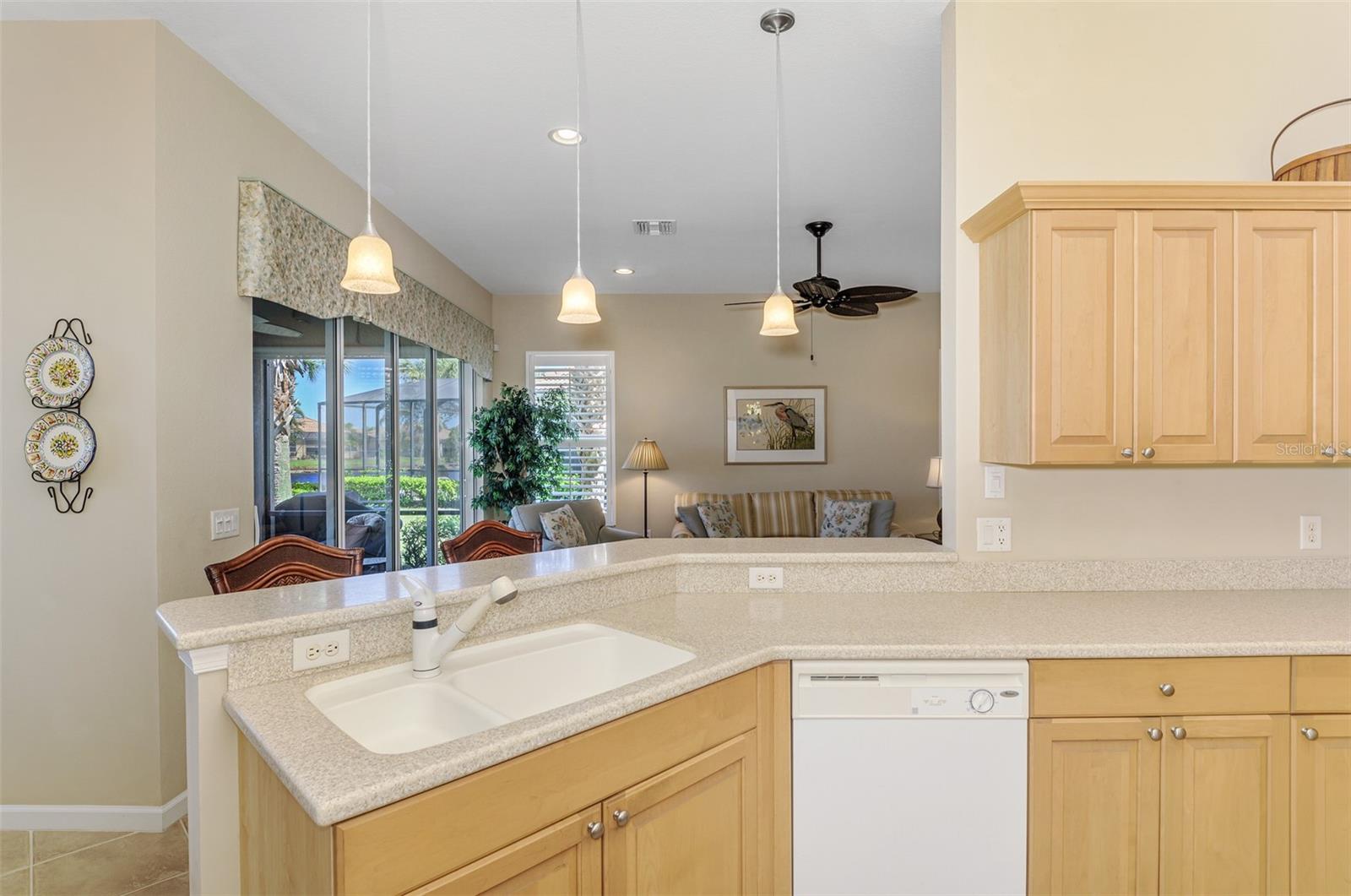 2625 Wax Myrtle