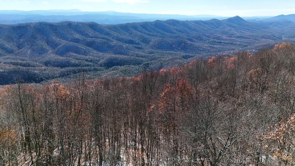 Endless possibilities await on this remarkable 1,307-acre mountain retreat in the heart of Southwest Virginia.  Bordered by Jefferson National Forest on two sides, this vast tract offers a rare combination of natural beauty, privacy, and potential. From the crest of Walker Mountain—rising over 3,500 feet in elevation—the land sweeps down through, and encompassing, the headwaters of Hungry Mother Creek, across the rugged slopes of Little Brushy Mountain, and into the picturesque Mitchell Valley.  Blanketed in mature hardwood forest and home to a rich diversity of plant and wildlife species, this property offers over 1,000 feet of elevation change and varied terrain that will captivate conservationists, developers, and outdoor enthusiasts alike.  Previously rezoned for an ambitious residential project, the northern section of the tract has already been subdivided, creating a strong foundation for future development. Current zoning includes Commercial, Residential, and Agricultural/Rural classifications—providing unmatched flexibility for your vision.  Whether your dream is to create a mountain community, timber investment, private wilderness preserve, or multi-use recreation destination, this property is ready to explore. Bring your hiking boots, your imagination, and your vision for what's next—you won't find another opportunity quite like this one.