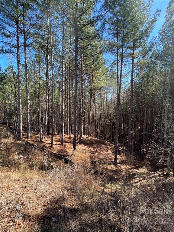 Lake Rhodhiss Estates on Lake Rhodhiss Vacant Lots for Sale