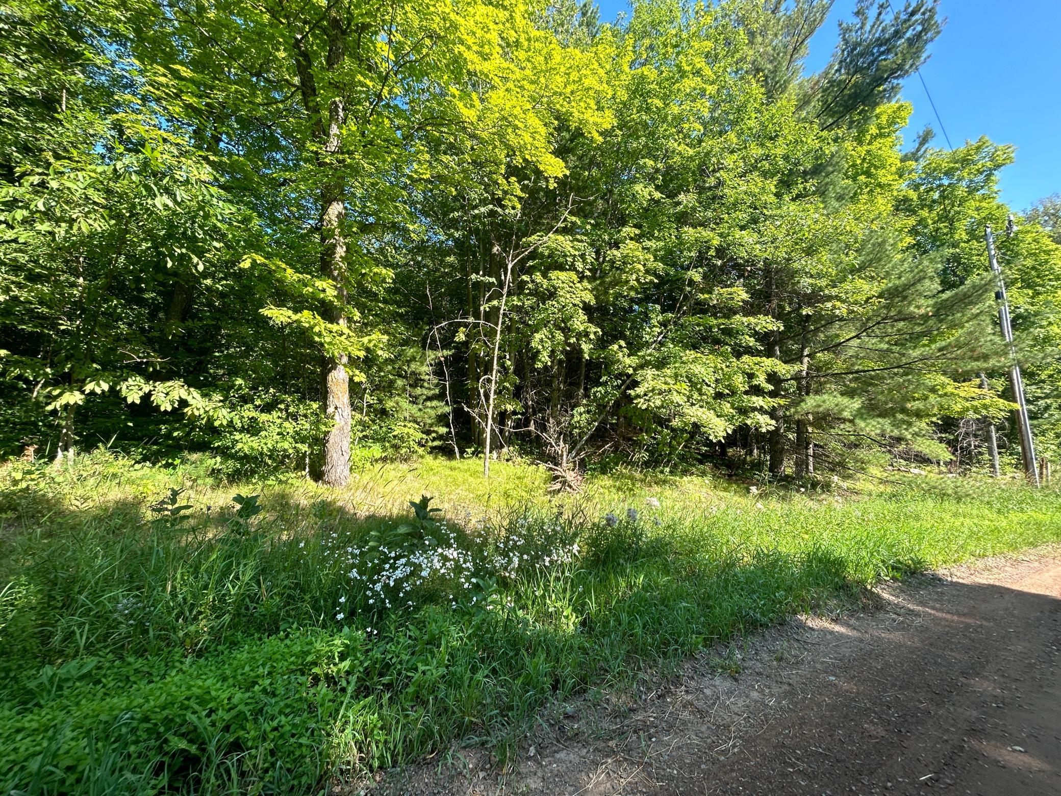 10XXX Maple Ridge Road