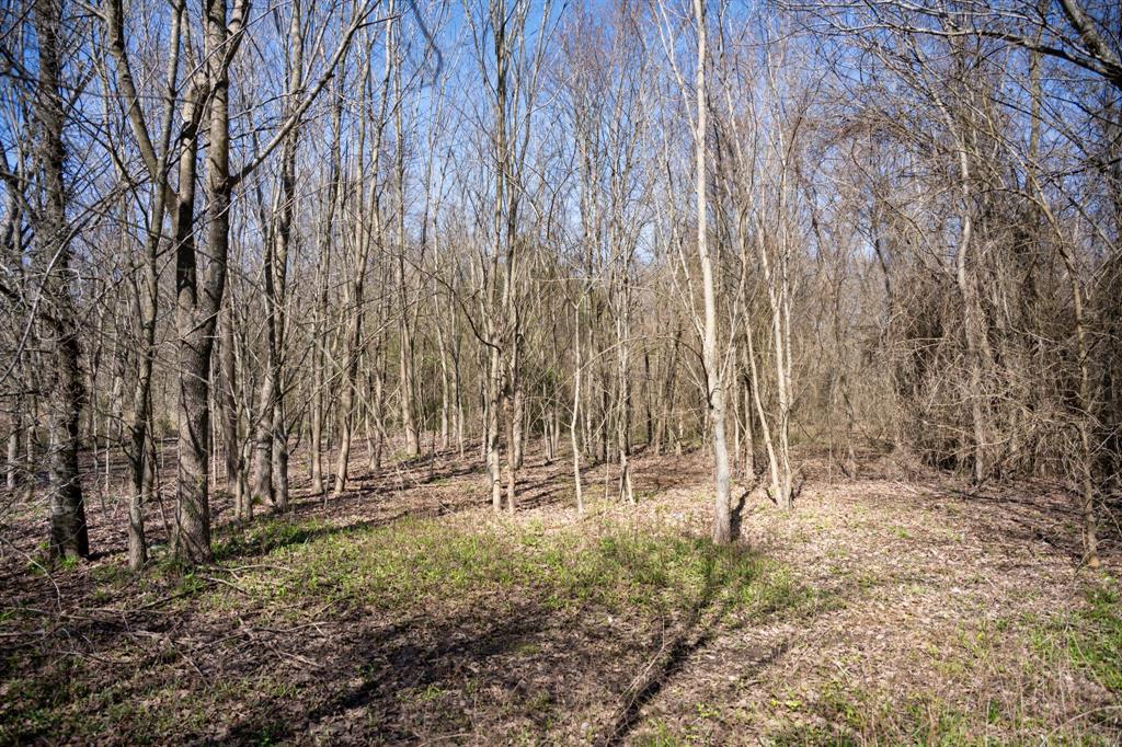 800 County Road 2390