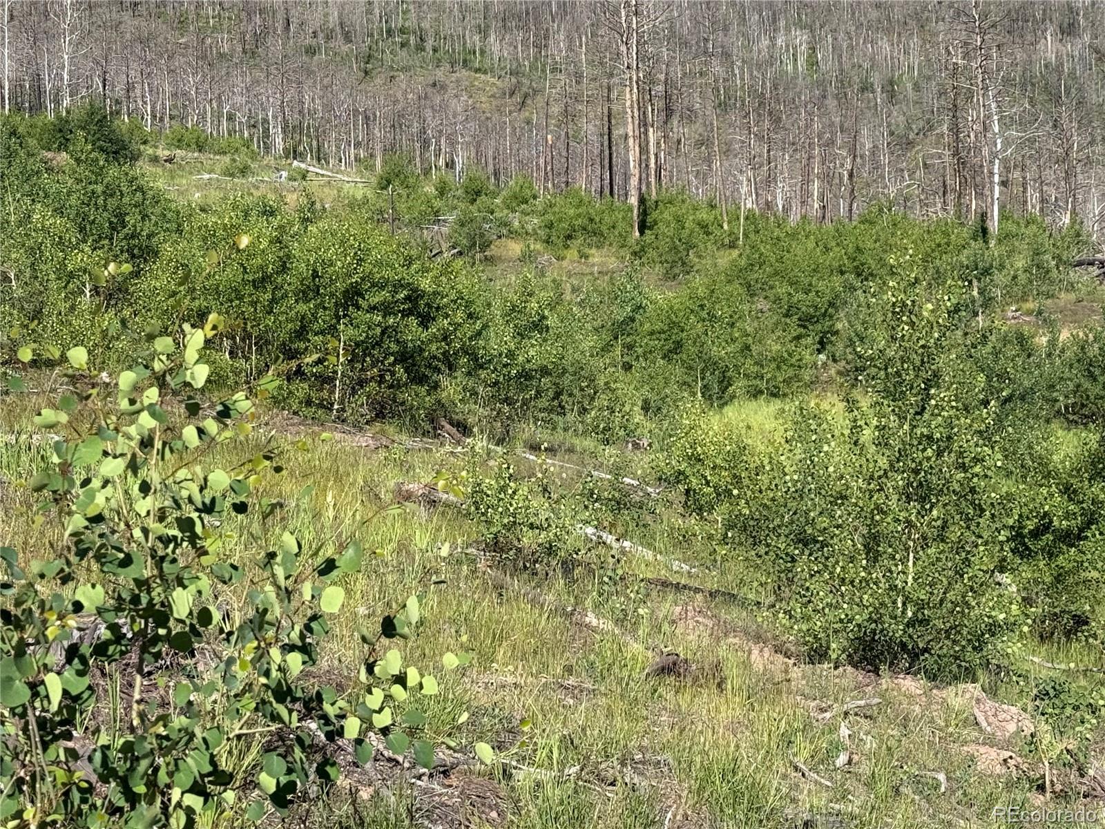 Lot 775 Forbes Park Road