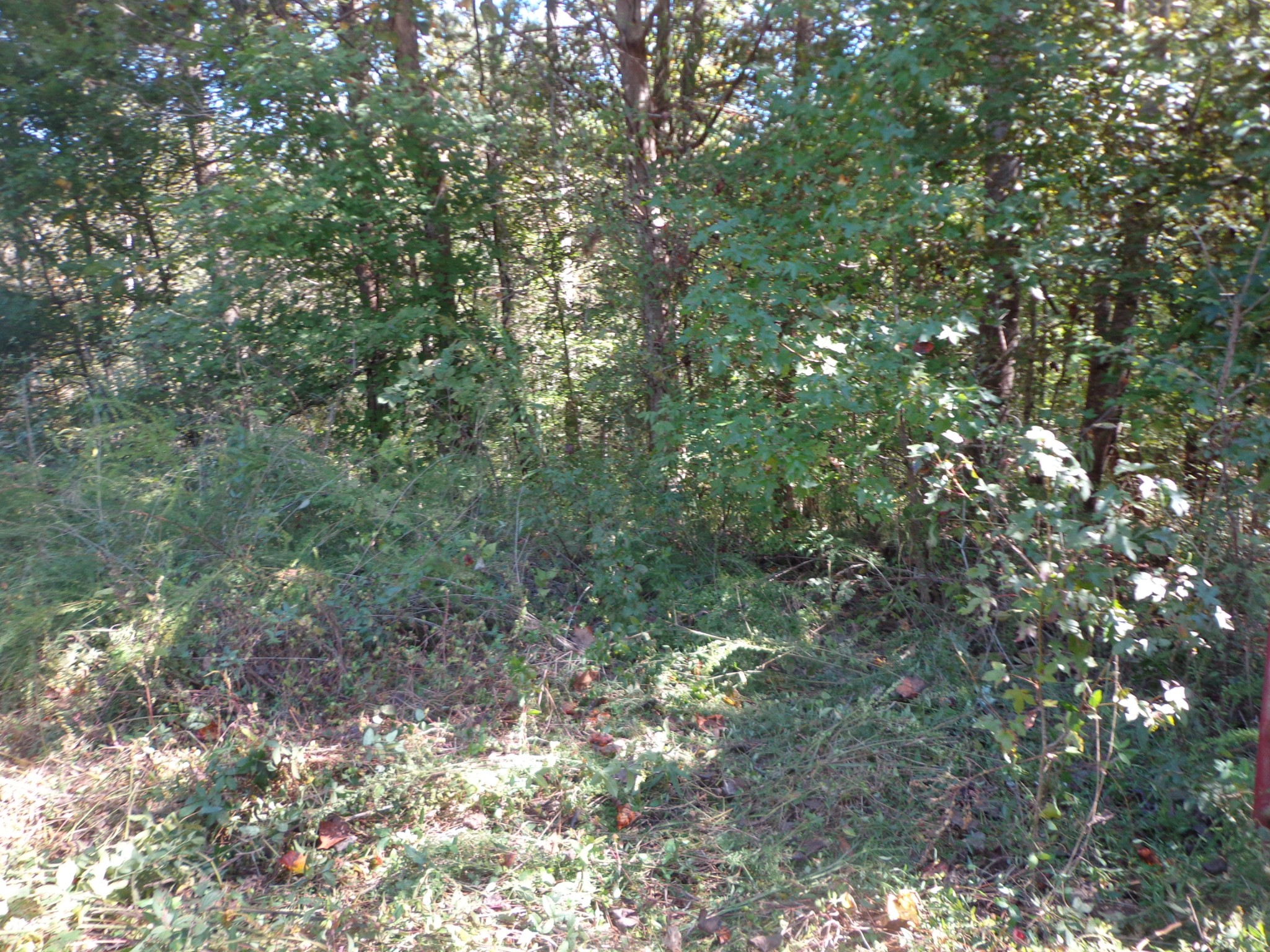 1030 Bucksnort Rd