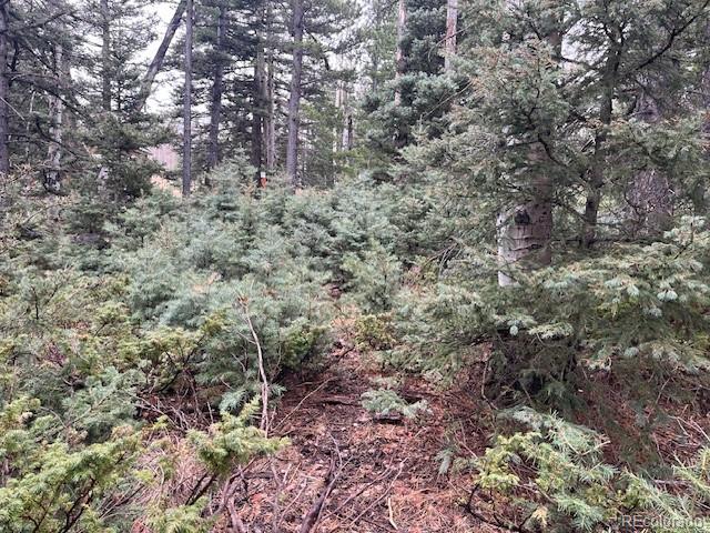 Lot 3091 Sterenson Place