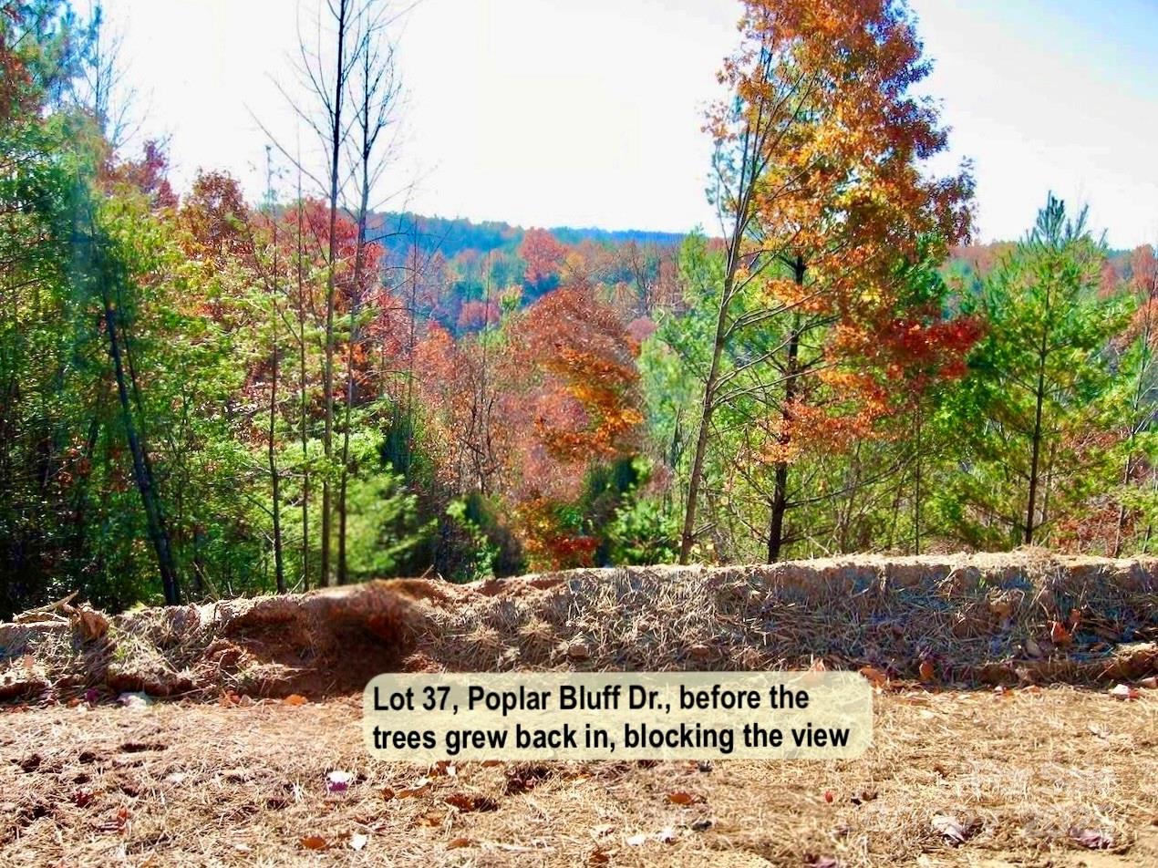 3.31 acres, Lot 37 Poplar Bluff Drive SE 37