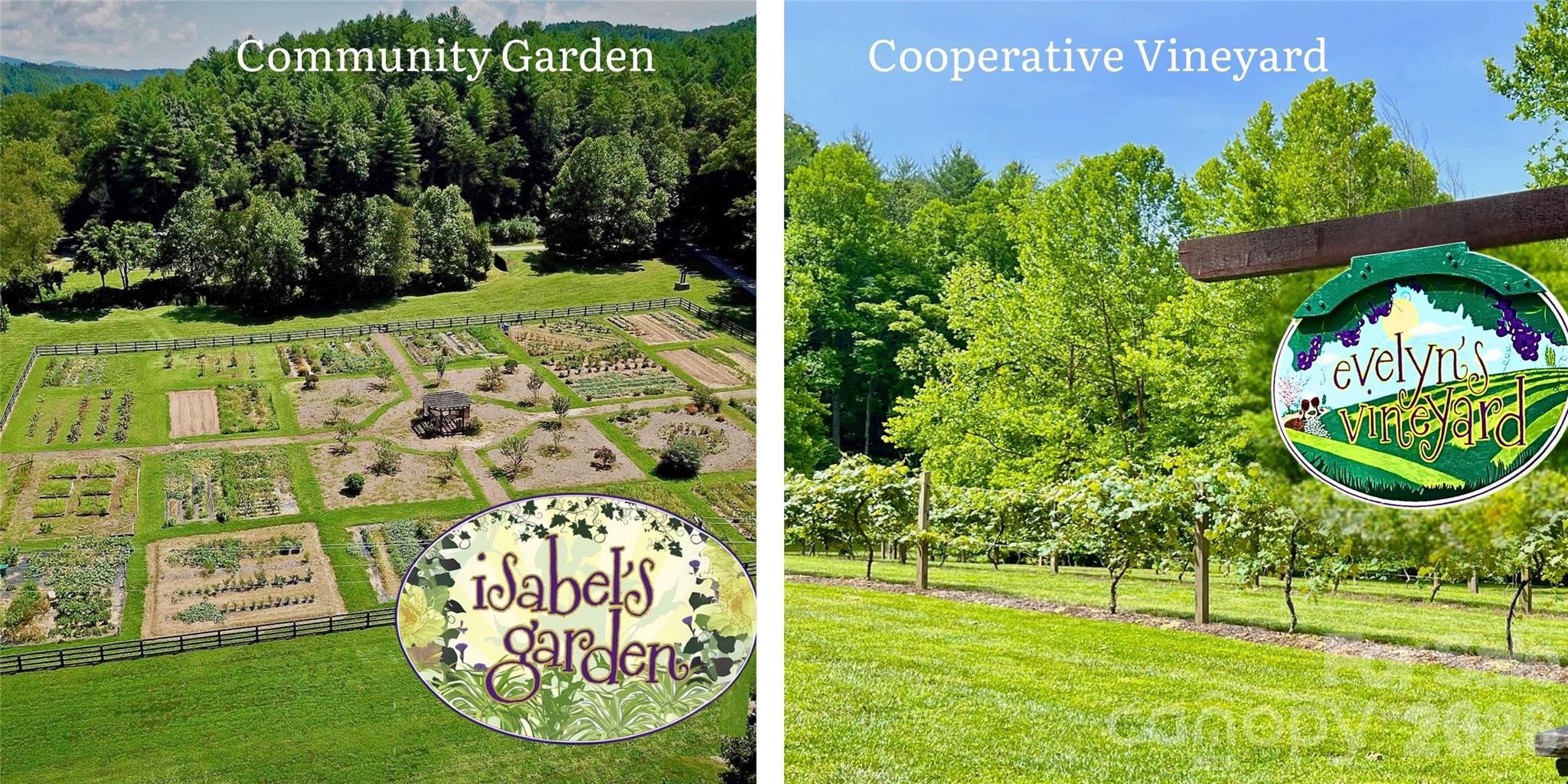 6129 Painted Ridge Trail Lot 739