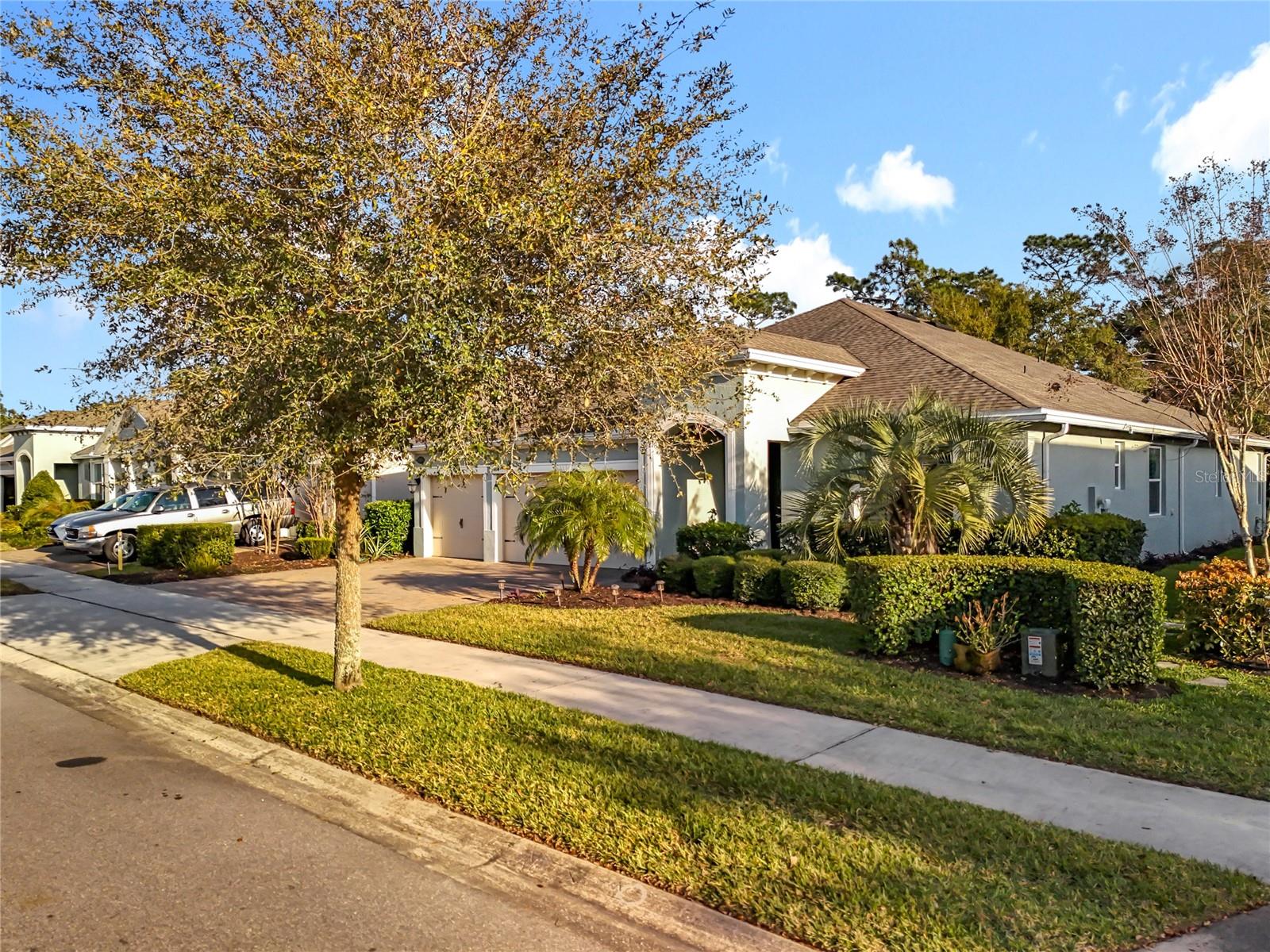 295 Northcote Court