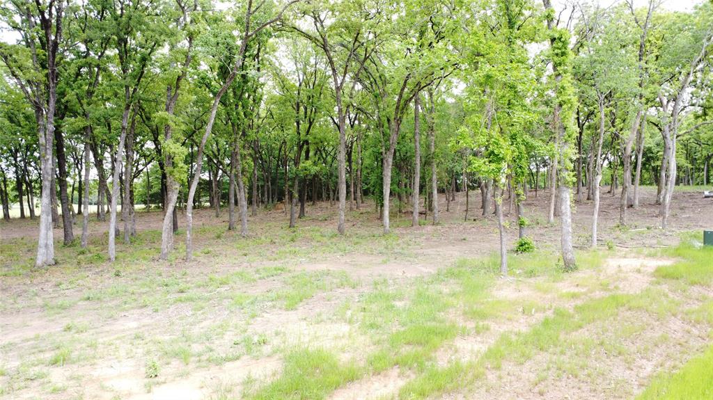 1210 Buck Trail