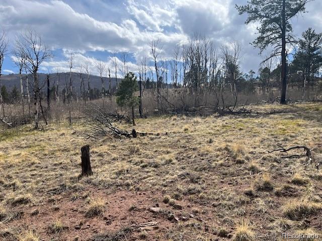 Lot 686 Cogbill Drive