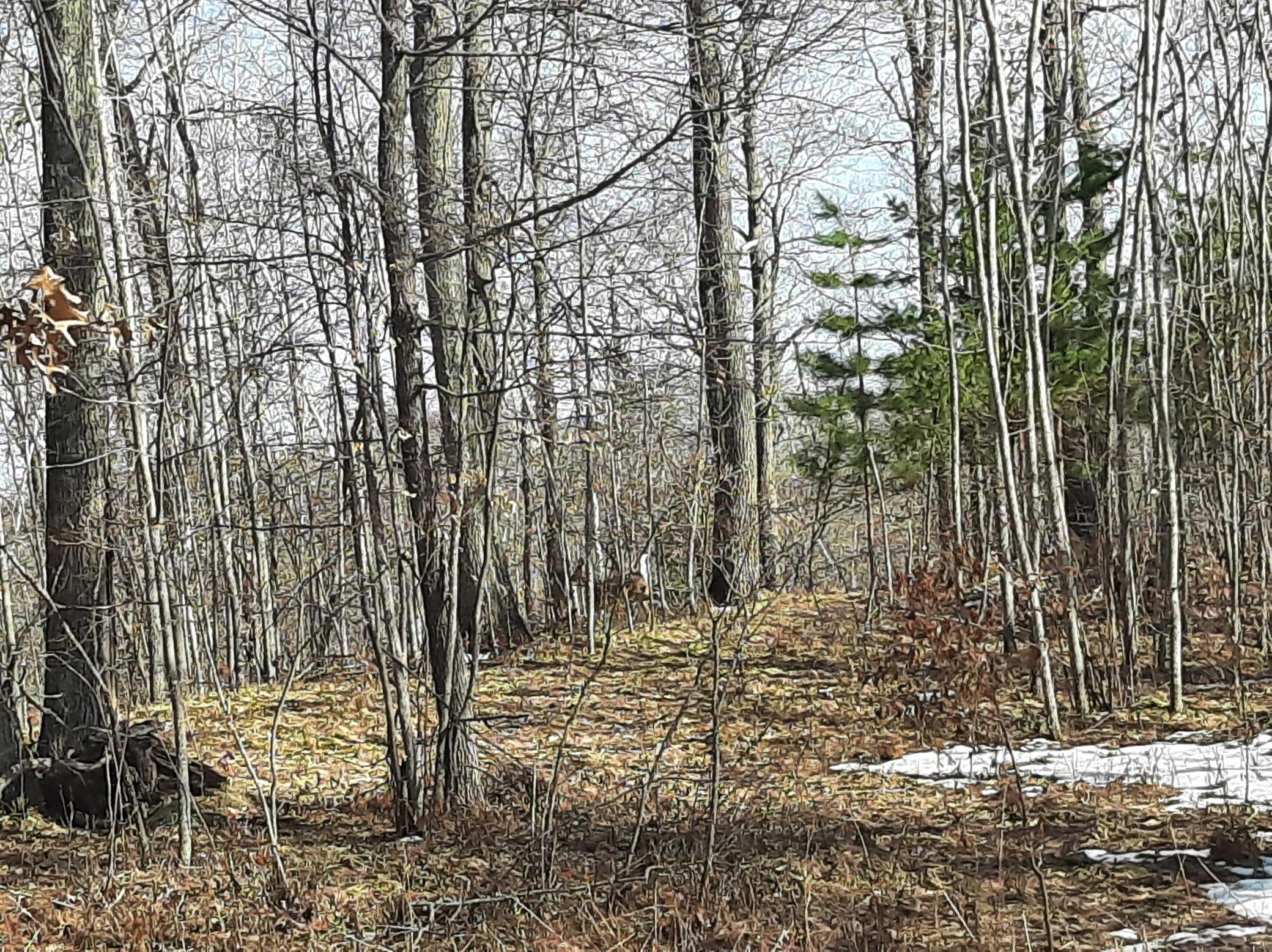 TBD Washburn Bay Trail NE