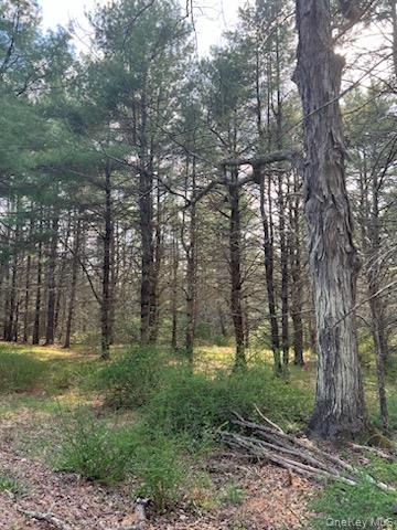 00 Upper Pine Kill Road