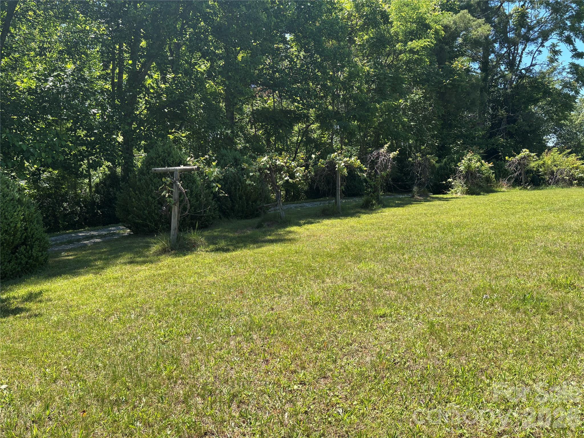 262 Blackberry Lane
