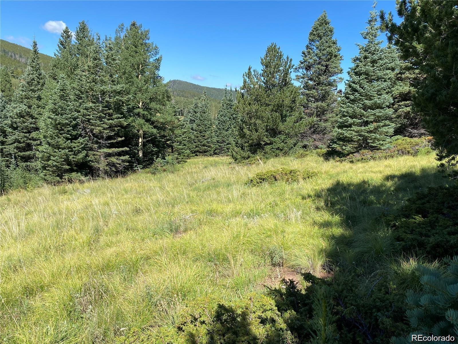 Lot 3141 Forbes Loop Road