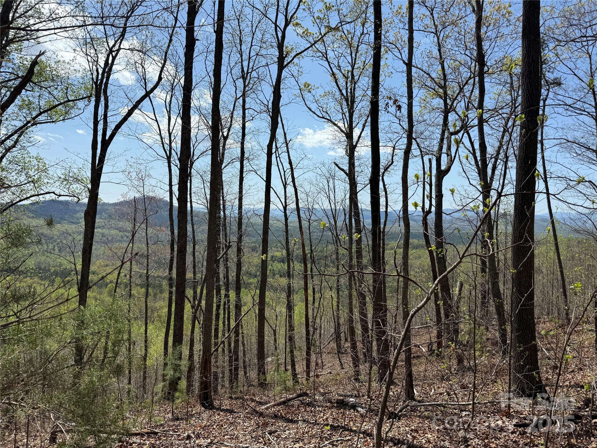 183 Woodgate Trail 103