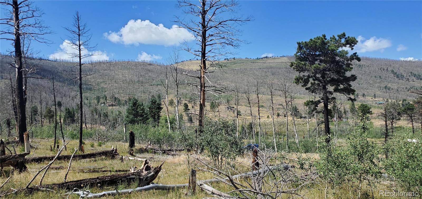 Lot 1064 Reed Lane