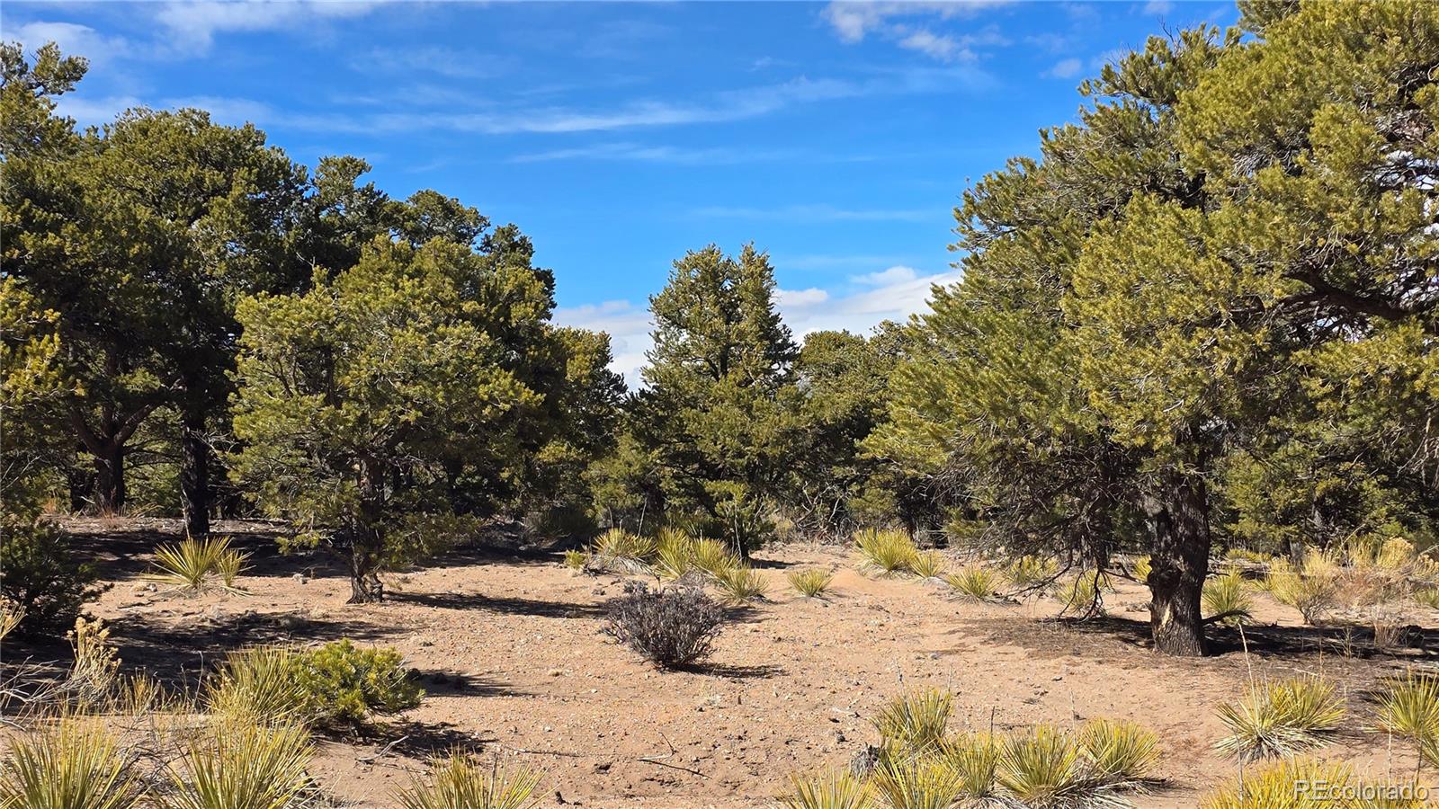 Lot 409 Williams Road