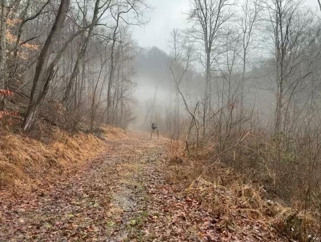 392 Possum Hollow Rd