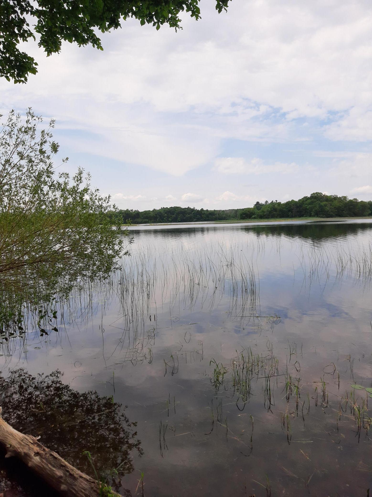 9879 Maple Ridge Road