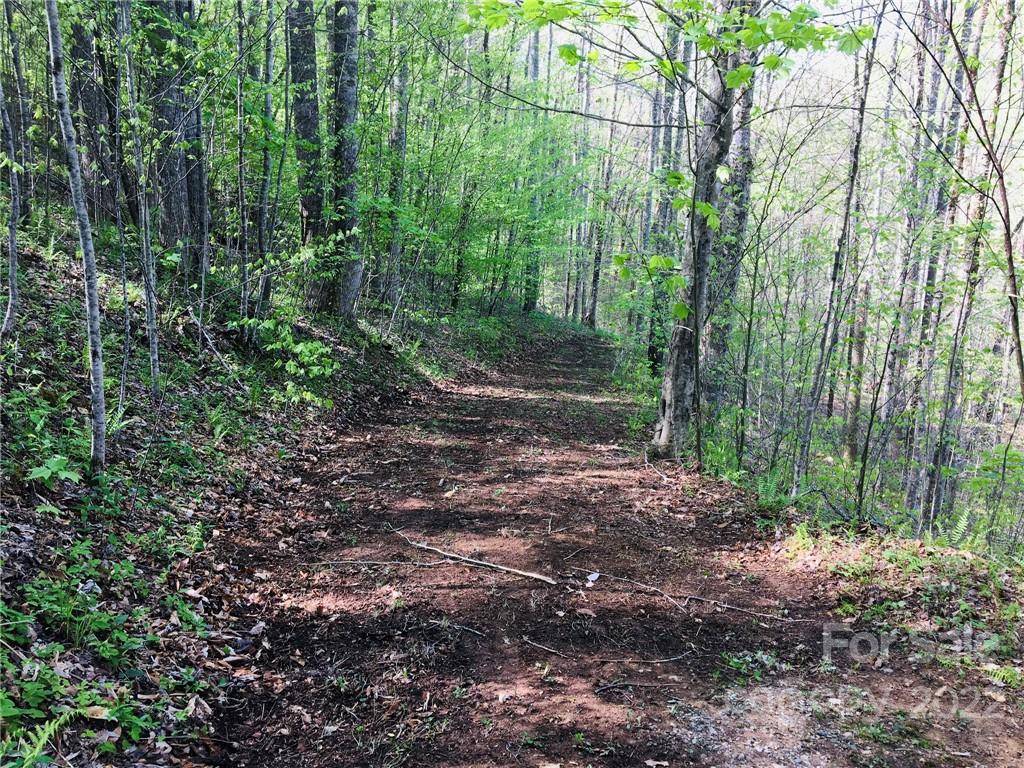 Nice lightly wooded knoll with view potential in small subdivision phase of Trillium. Just 1 block off the state maintained road make this high elevation property easy to access. As shared driveway is already roughed in about to the homesite. That's a substantial savings for the buyer! Across the road is a pristine mountain creek you can hear for the property. Enjoy area summer sports & activities &  nearby skiing in the winter. Privacy in insures as only 9 lots that access lots this section & the road is not a through road. Several lots at the end were purchased to ensure privacy for their homes accessed one road over. This is an ideal location for a nature lover's summer or year around residence. Asheville is just a half hour drive. The quaint little town of Weaverville with nice eateries and shops along with big box stores and supermarkets on the outskirts is 15 minutes away.