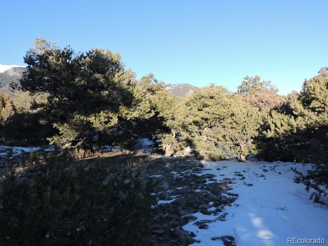 Lot 9 Cedar Avenue
