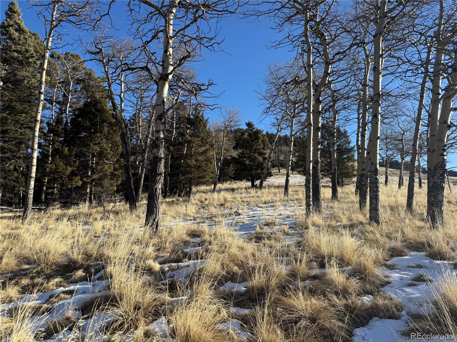Lot 499 Collinson Drive