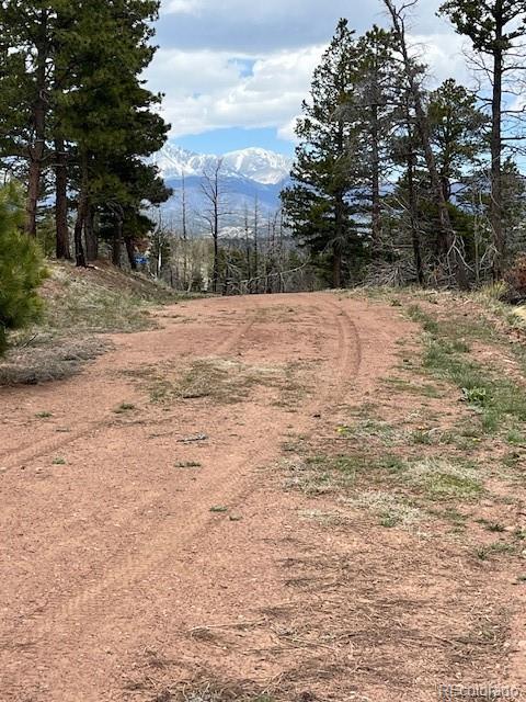 Lot 291 Dany Place