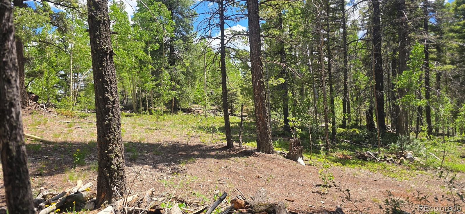 Lot 5778 Balleroy Road