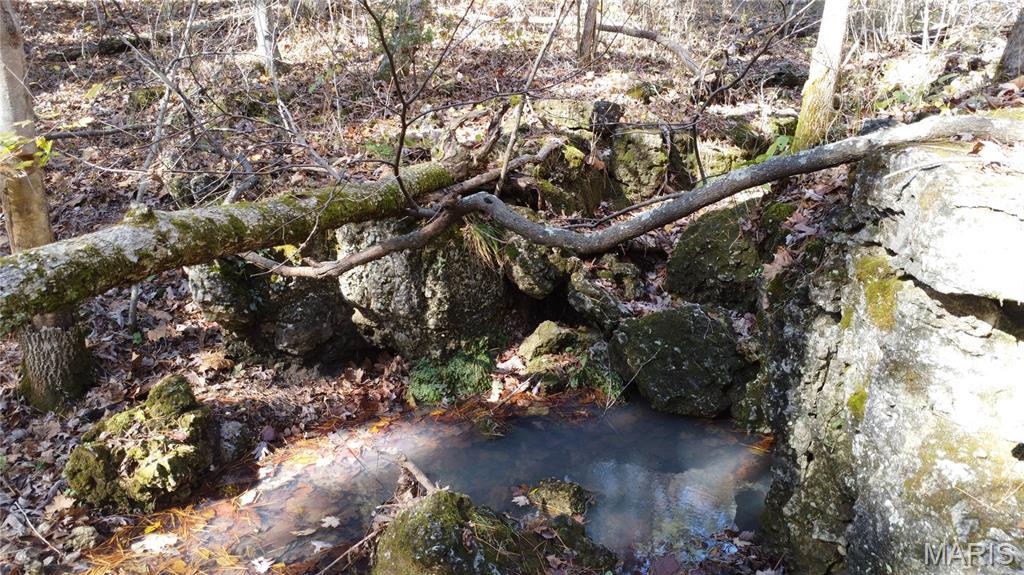 10256 Christina Trail