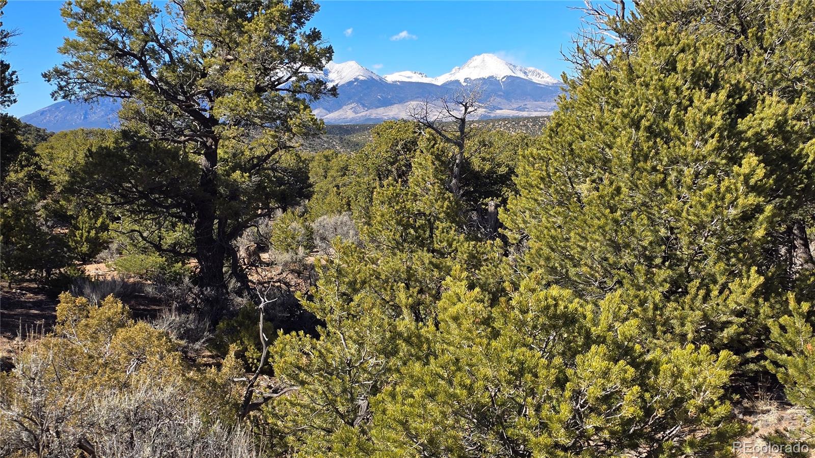 Lot 409 Williams Road