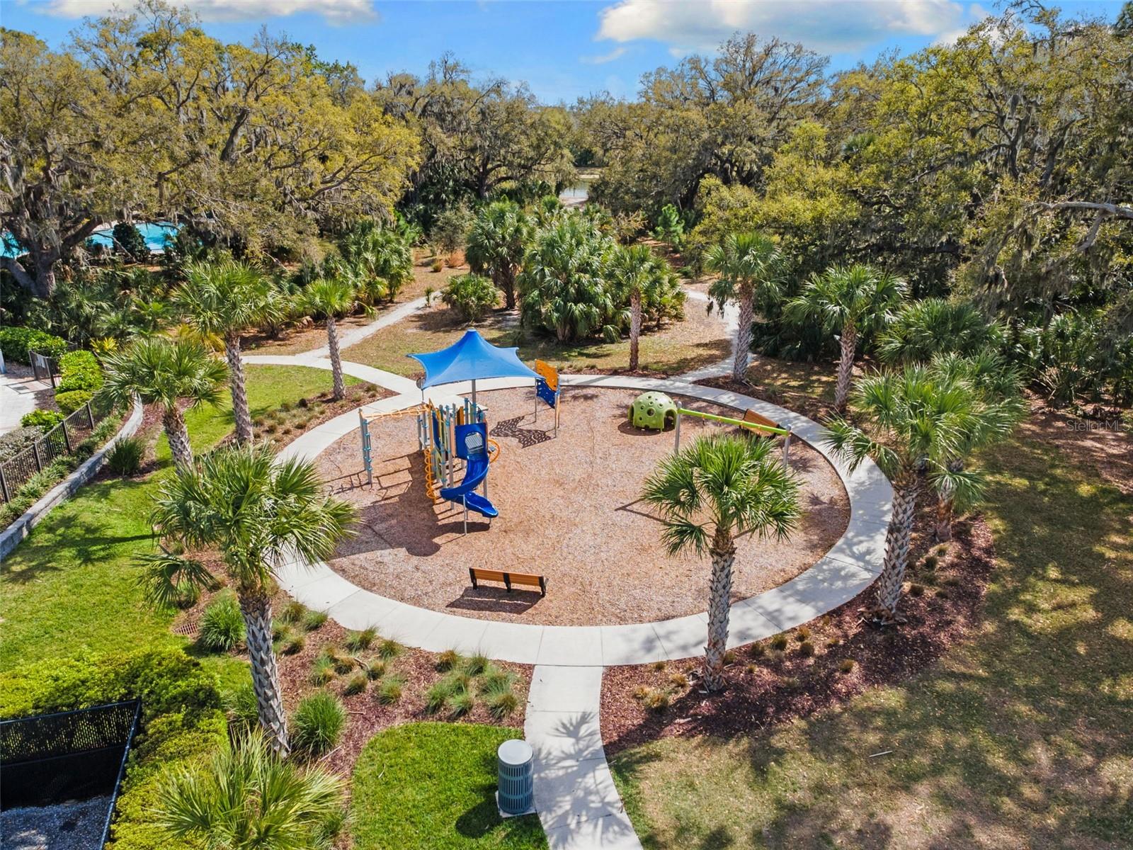 8523 Rain Lily Crossing