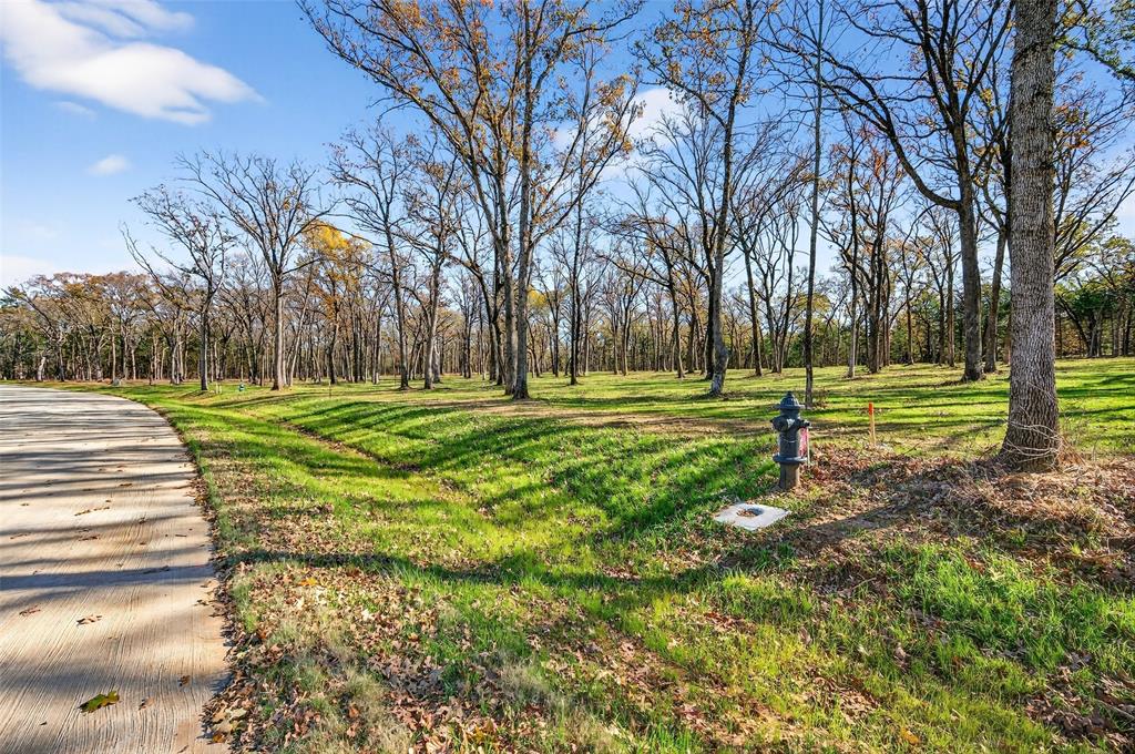 Lot 81 Buck Trail