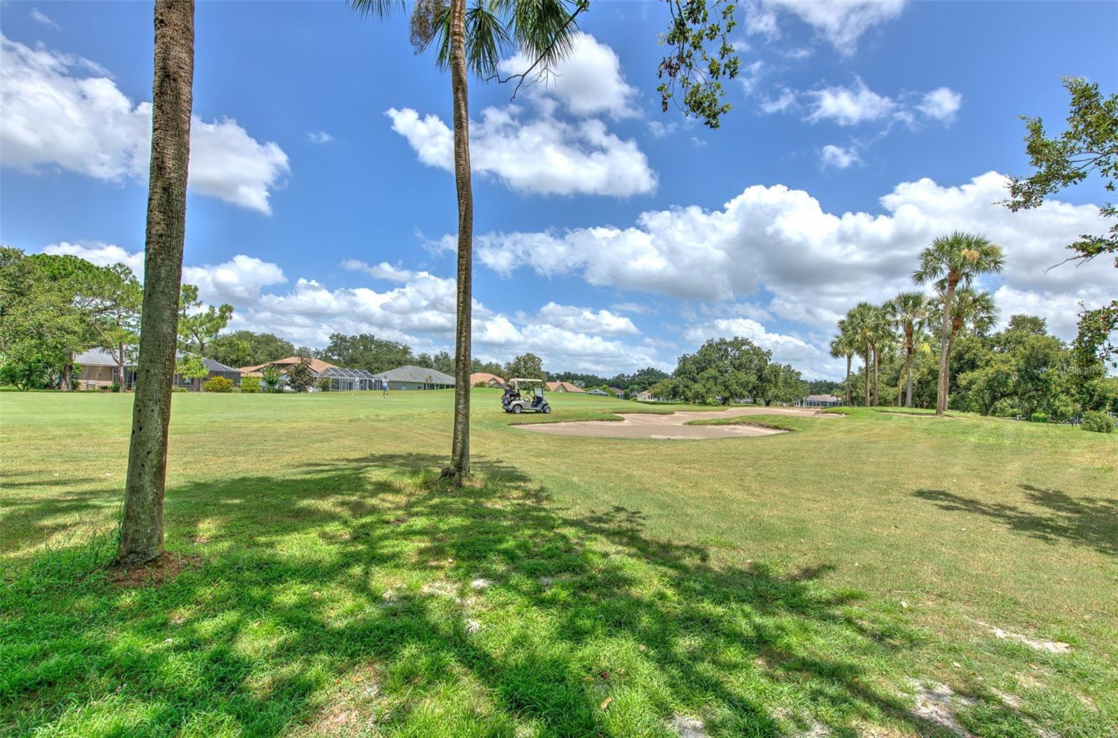 5309 Cottonwood Tree Circle