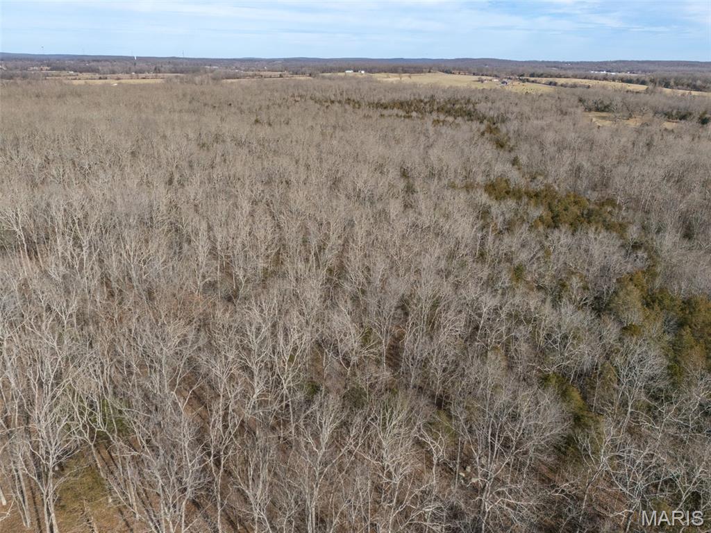 12.5+/- Acres On Effin Road